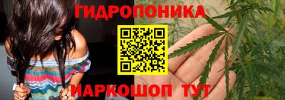 jwh Бийск