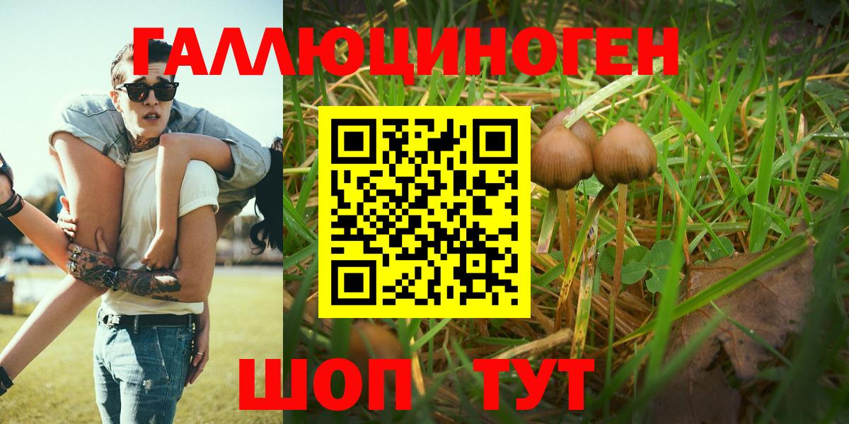 Галлюциногенные грибы Magic Shrooms Горно-Алтайск