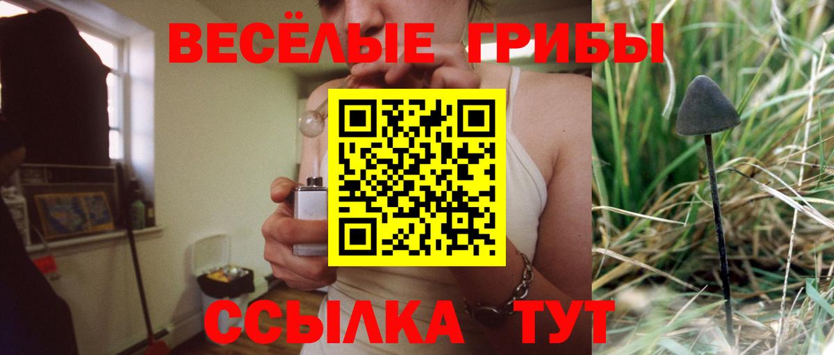 Галлюциногенные грибы Cubensis Горно-Алтайск
